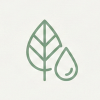 vision icon (2)